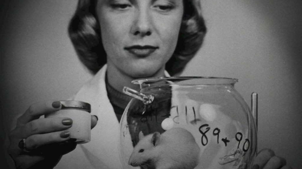 A black and white image of a woman in a lab coat holding a small container while looking at a glass bowl containing a white mouse. The bowl has some writing on it, possibly related to a laboratory experiment.