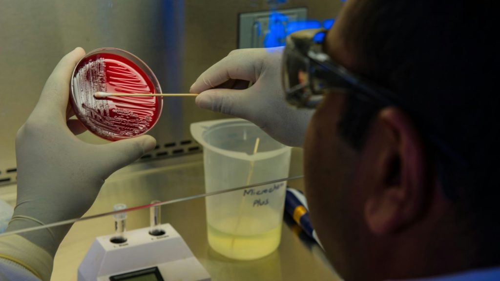 A scientist wearing gloves and protective eyewear is holding a petri dish and using a swab to spread a sample in a laboratory environment.