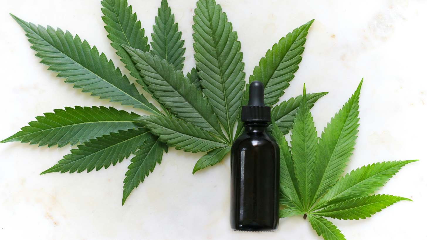 A dropper bottle of CBD oil surrounded by marijuana leaves on a white surface - cbd cosmetics regulation