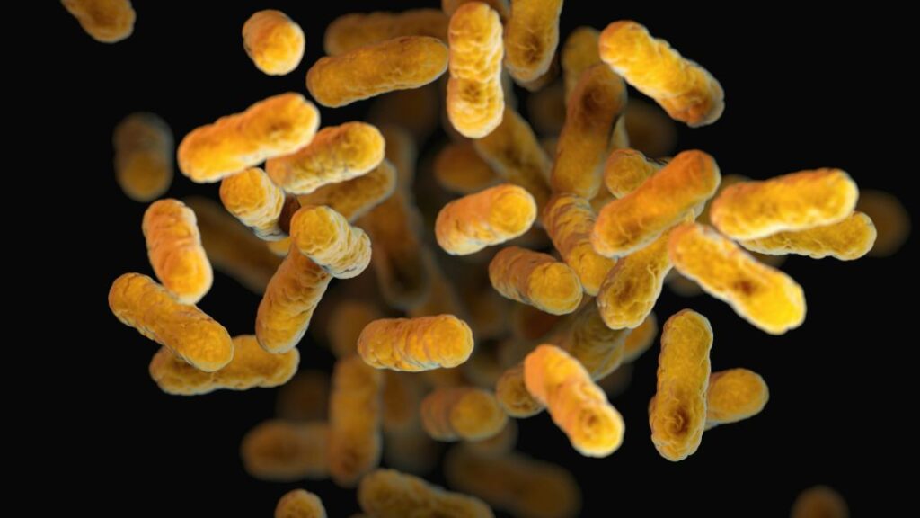 Close-up of microbial organisms over a black background