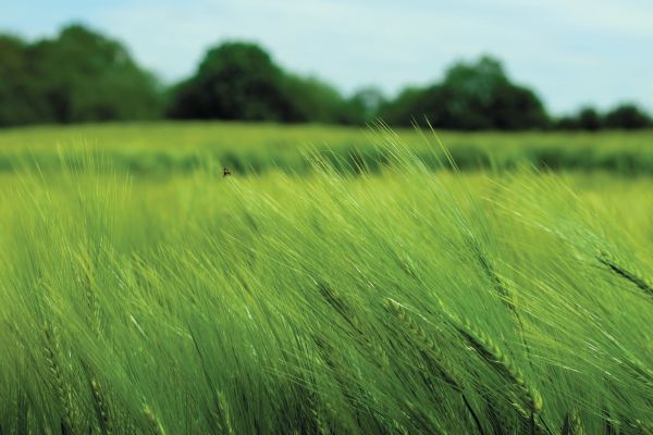 Directive (EU) 2024/825: Green Transition